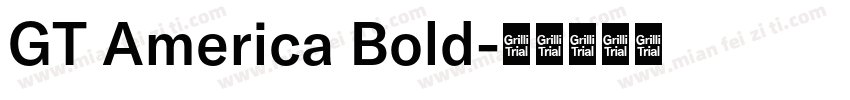 GT America Bold字体转换